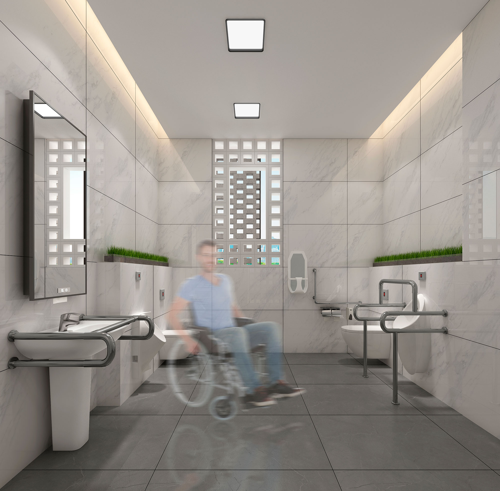 Read more about the article The best way to architectural services: design  of toilets for the disabled